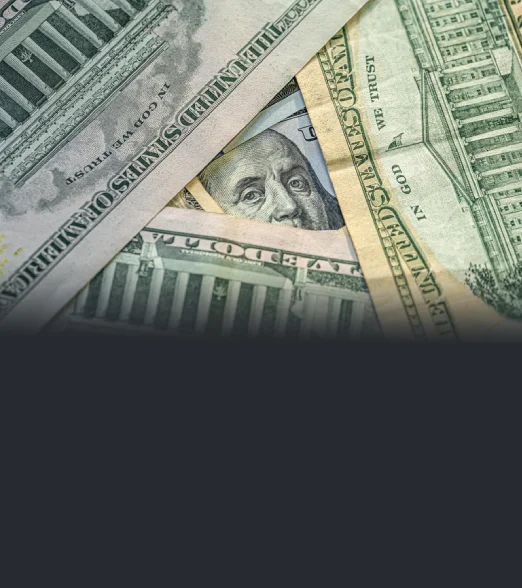 Shareholder & Partnership Litigation